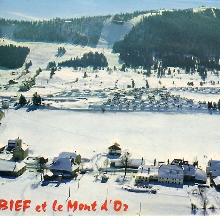 Refuge De L'Ecureuil Villa เมตาบิเย ภายนอก รูปภาพ